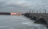 За неделю за выход на лед оштрафовали более 70 петербуржцев