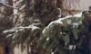 Ленобласть в преддверии выходных ждут снег и похолодание до -20 градусов