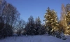 В воскресенье в Ленобласти выпадет небольшой снег