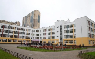 Смешанный формат обучения школьников в Петербурге будет действовать до конца учебного года