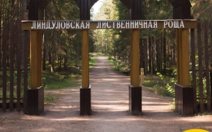 В "Линдуловской роще" пройдет бесплатная экскурсия 16 мая