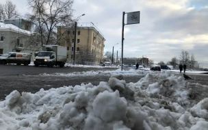 В феврале власти запустили сервис для контроля за уборкой снега в Петербурге