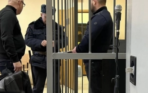 Задержан петербуржец, ударивший в лицо девушку-аниматора на Васильевском острове