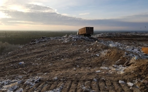 Росприроднадзор подал иск в арбитраж о закрытии полигона "Северная Самарка" в Ленобласти