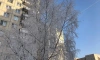 Петербуржцам пообещали рождественские морозы до -20 градусов