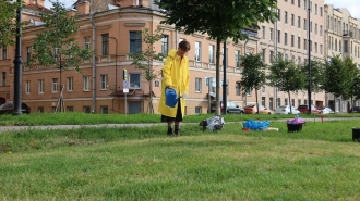 В апреле высадят более четырех тыс. деревьев и 36 тыс. кустарников в Петербурге