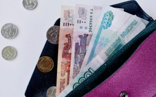 Петербуржцам задолжали более 50 млн по зарплатам
