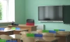 В Петербурге дистанционно обучаются 570 классов