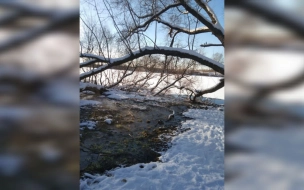 Сброс сточных вод в Ижору зафиксировали в городе Тельмана