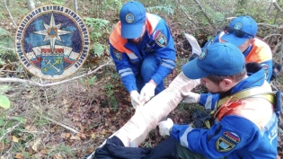 Из леса под Тосно эвакуировали сломавшего ногу мужчину