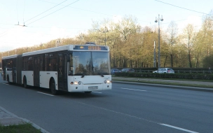 Дополнительные автобусы пустят на кладбища Петербурга в Вербное воскресенье