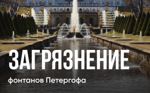 В Росприроднадзор поступают сообщения о возможном загрязнении фонтанов в Петергофе
