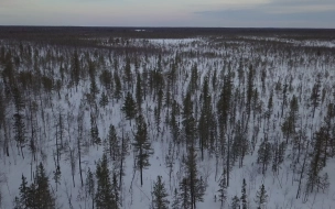 В Ленобласти объявили предупреждение о погоде на ближайшие дни