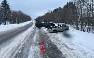 На дороге "Гатчина – Ополье" в аварии погиб 56-летний водитель