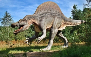Австралийские ученые определили самый крупный вид динозавров 