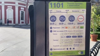 "Эсеры" петербургского парламента предложили перенести расширение зоны платной парковки