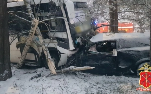 Один человек погиб и четверо пострадали в ДТП с рейсовым автобусом в Ленобласти 