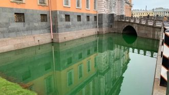 Эколог рассказал, почему могла позеленеть вода во рву перед Михайловским замком 