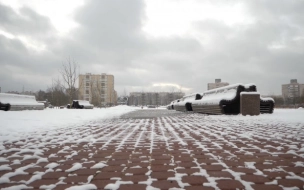 В Петербурге закрыли сады и парки из-за сильного ветра
