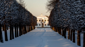 Музей-заповедник "Петергоф" обновил зимнее расписание