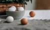 Нутрициолог назвала допустимое количество яиц в неделю