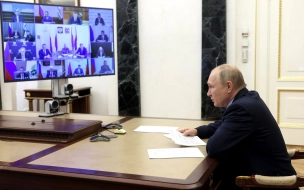 Путин призвал не допустить повторения прошлогодней ситуации с лесными пожарами