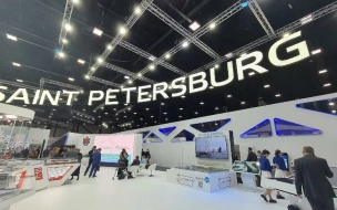 В Петроградском районе планируется строительство высокотехнологичного Арт-парка