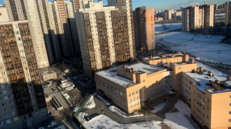 В пятницу в Петербурге выпадет небольшой снег и потеплеет
