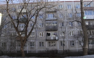 Председатель ЗакСа Бельский поддержал приостановку реновации в Петербурге до 2024 года