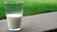 Удой молока на одну корову в Ленобласти вырос на 3,5%