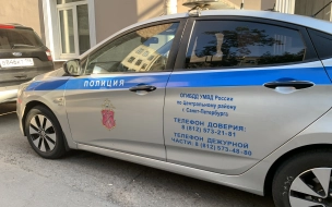 В Петербурге задержали 18-летнего разбойника из Всеволожска