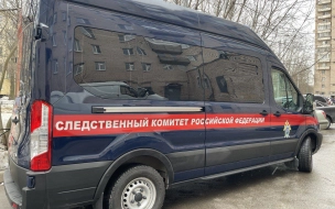После избиения отца 13 детей в Петербурге возбудили уголовное дело по статье "Хулиганство"