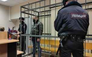 В Петербурге напавшему на девушку-оперативника инспектору ДПС отменили домашний арест