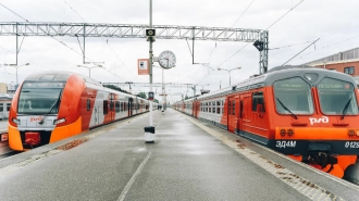 Более двух млн льготников в Ленобласти воспользовались железной дорогой в 2024 году