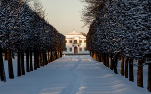 Музей-заповедник "Петергоф" обновил зимнее расписание