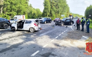 По факту массового ДТП на Приозерском шоссе возбуждено уголовное дело