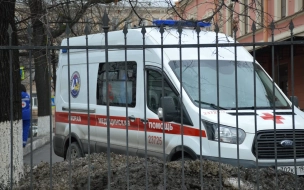 Микроавтобус под Петербургом сбил жительницу Нижегородской области