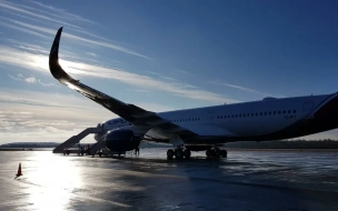 Самолет из Сочи совершил аварийную посадку в Пулково