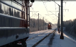 Юную петербурженку, сбежавшую к возлюбленному, сняли с поезда в Череповец