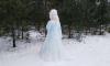 В парке Сосновка неизвестный изваял из снега "королеву Эльзу"