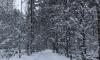 Запад Ленобласти в понедельник занесёт сильным мокрым снегом