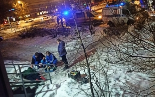 Глыба льда убила петербуржца на проспекте Мечникова