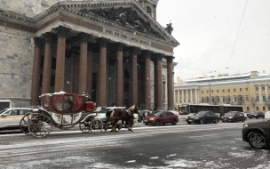 Ночью 5 декабря в Петербурге ожидается резкое похолодание