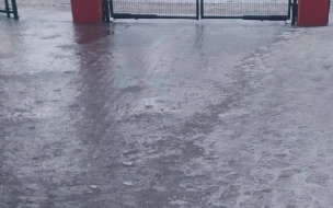 Перед входом в больницу в Петербурге образовалось ледяное пространство