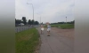 По Пулковскому шоссе утром гуляла голая бабушка