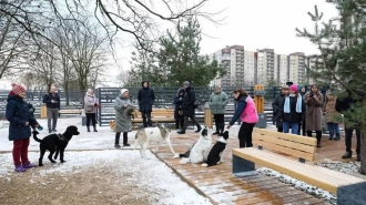 Площадку для выгула собак открыли на Карпатской улице в Петербурге