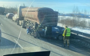 На Новоприозерском  шоссе   "Жигули" влетели в грузовик