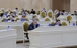 Депутаты ЗакСа Петербурга внесли поправки в законы о налогах и льготах