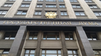 В Госдуме предложили давать семьям сто часов бесплатных услуг няни в год
