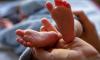 Пенсионерка обнаружила тело новорожденной внучки в Колпино